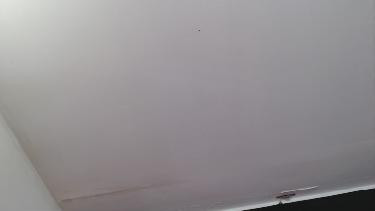 EmmaLush's Streamate show and profile